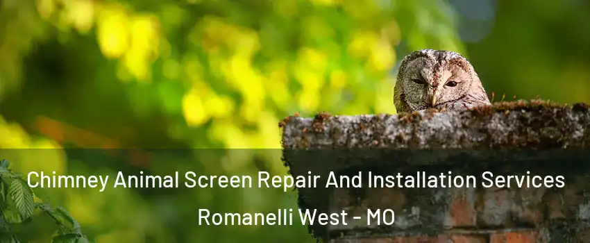 Chimney Animal Screen Repair And Installation Services Romanelli West - MO