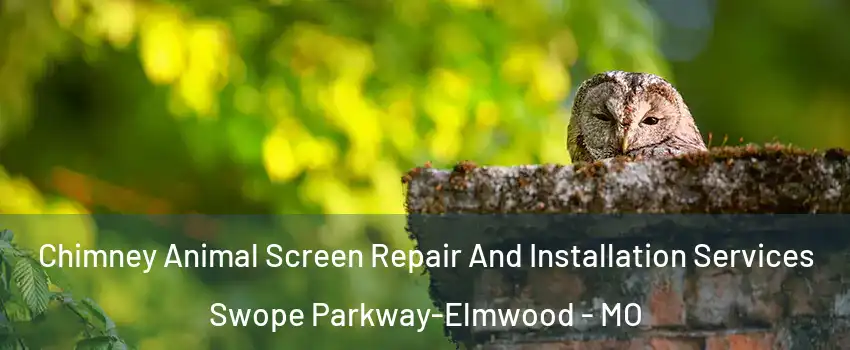 Chimney Animal Screen Repair And Installation Services Swope Parkway-Elmwood - MO