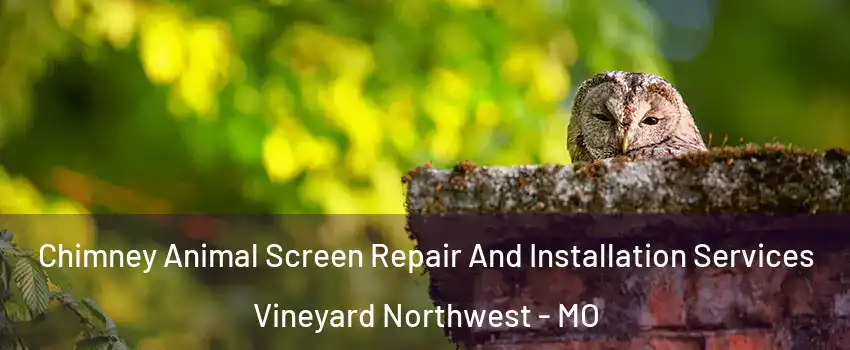 Chimney Animal Screen Repair And Installation Services Vineyard Northwest - MO