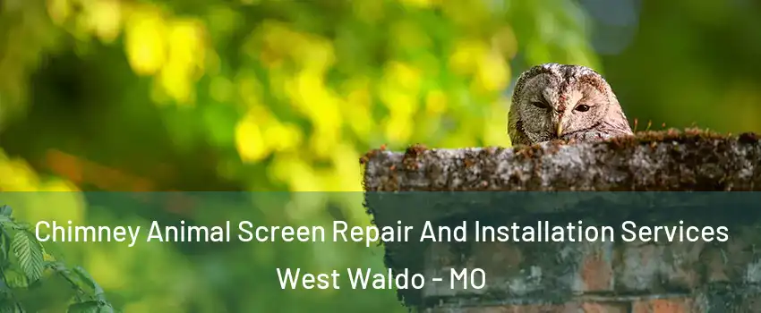 Chimney Animal Screen Repair And Installation Services West Waldo - MO