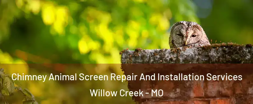 Chimney Animal Screen Repair And Installation Services Willow Creek - MO