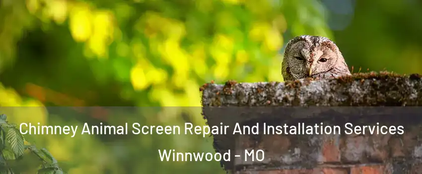 Chimney Animal Screen Repair And Installation Services Winnwood - MO