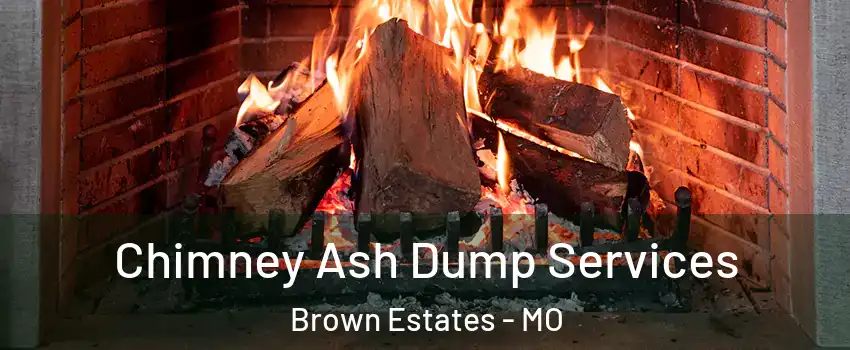 Chimney Ash Dump Services Brown Estates - MO