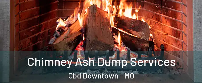 Chimney Ash Dump Services Cbd Downtown - MO