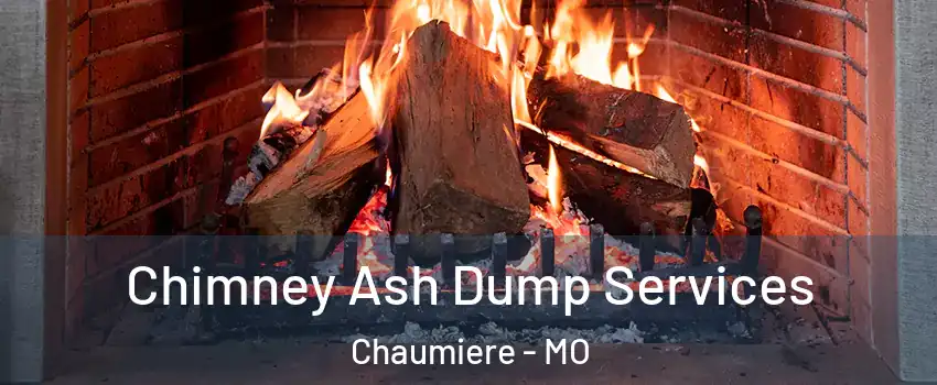 Chimney Ash Dump Services Chaumiere - MO