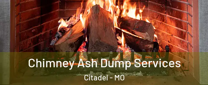 Chimney Ash Dump Services Citadel - MO