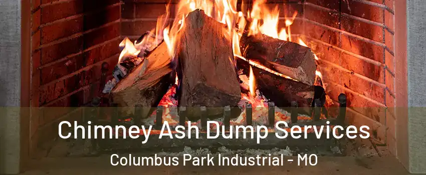 Chimney Ash Dump Services Columbus Park Industrial - MO