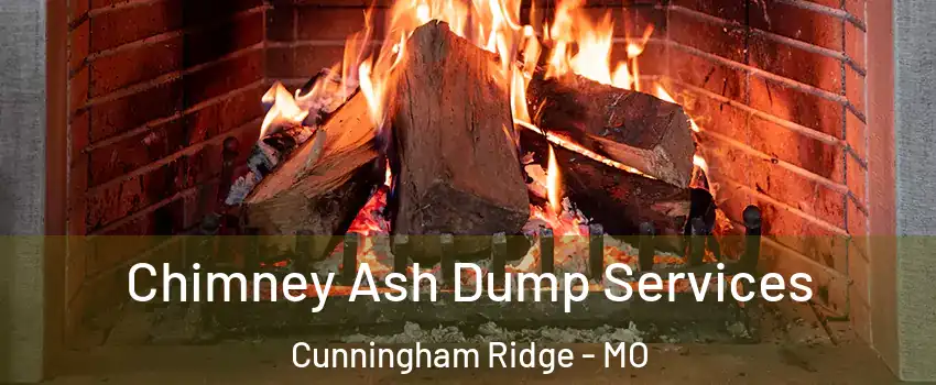 Chimney Ash Dump Services Cunningham Ridge - MO