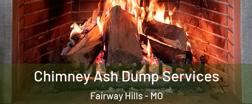 Chimney Ash Dump Services Fairway Hills - MO