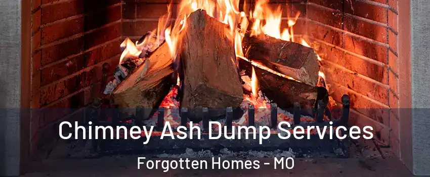 Chimney Ash Dump Services Forgotten Homes - MO