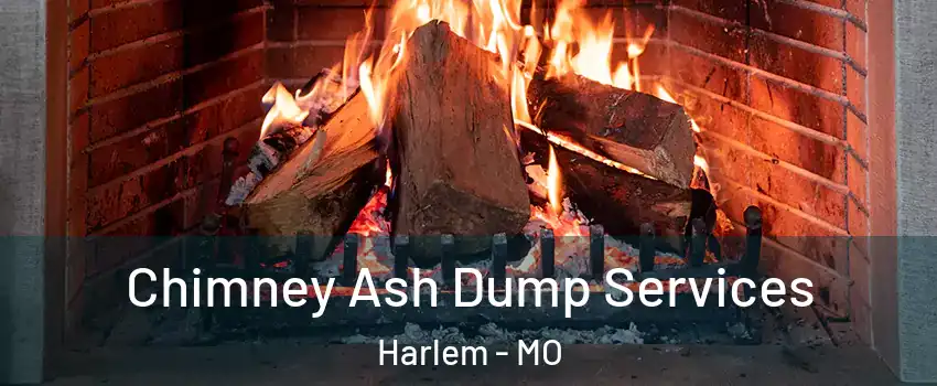 Chimney Ash Dump Services Harlem - MO