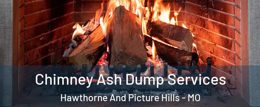Chimney Ash Dump Services Hawthorne And Picture Hills - MO