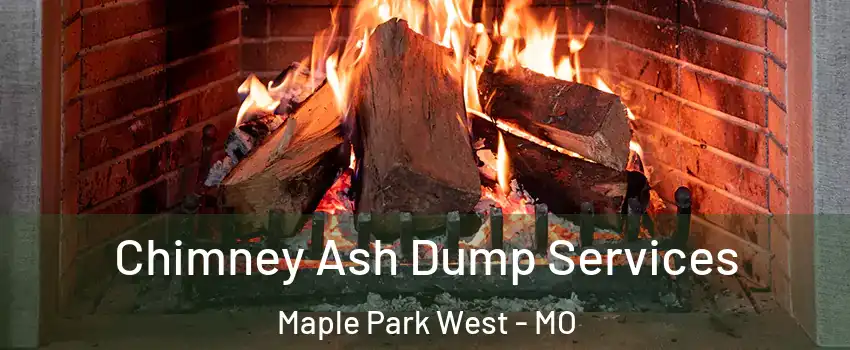 Chimney Ash Dump Services Maple Park West - MO