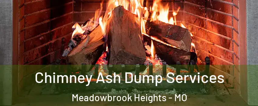 Chimney Ash Dump Services Meadowbrook Heights - MO