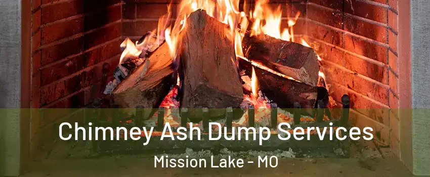Chimney Ash Dump Services Mission Lake - MO