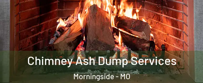 Chimney Ash Dump Services Morningside - MO