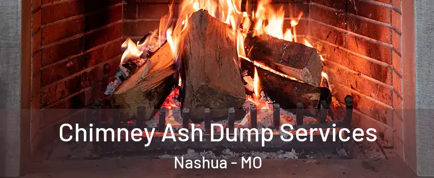 Chimney Ash Dump Services Nashua - MO