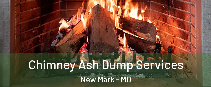 Chimney Ash Dump Services New Mark - MO