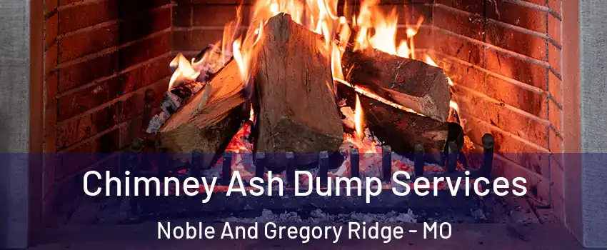 Chimney Ash Dump Services Noble And Gregory Ridge - MO