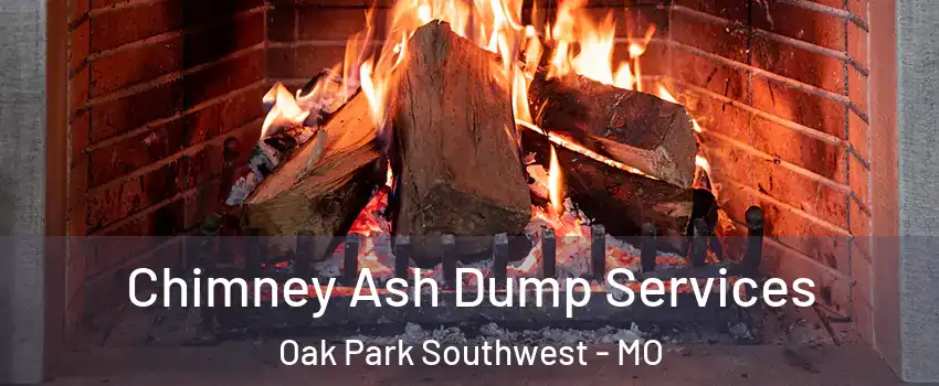 Chimney Ash Dump Services Oak Park Southwest - MO