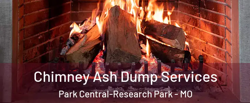 Chimney Ash Dump Services Park Central-Research Park - MO