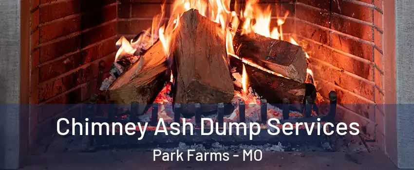 Chimney Ash Dump Services Park Farms - MO