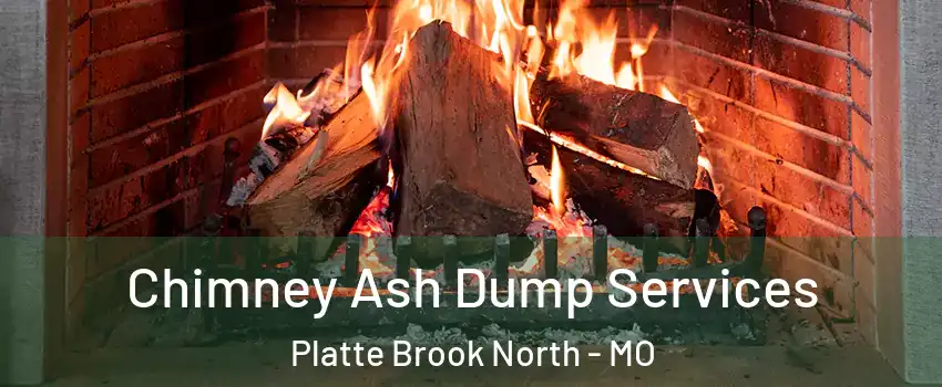 Chimney Ash Dump Services Platte Brook North - MO