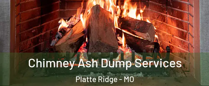 Chimney Ash Dump Services Platte Ridge - MO