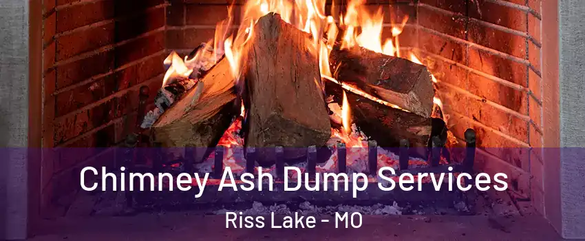 Chimney Ash Dump Services Riss Lake - MO
