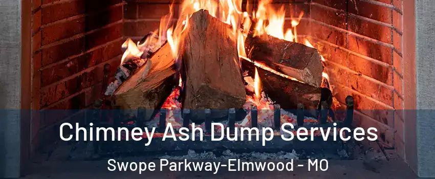 Chimney Ash Dump Services Swope Parkway-Elmwood - MO