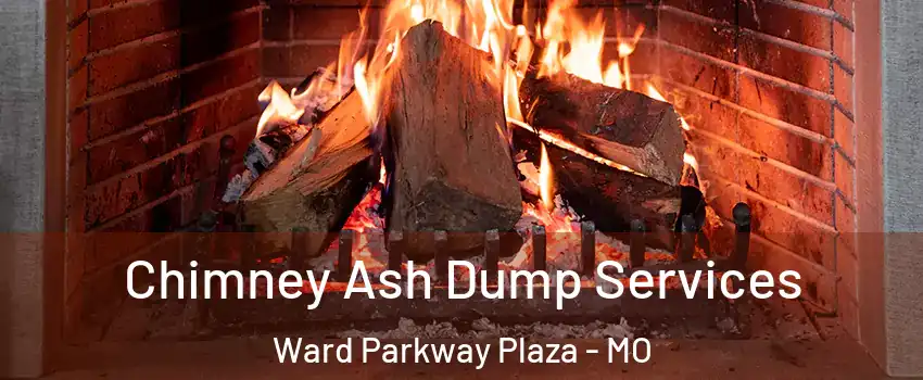 Chimney Ash Dump Services Ward Parkway Plaza - MO