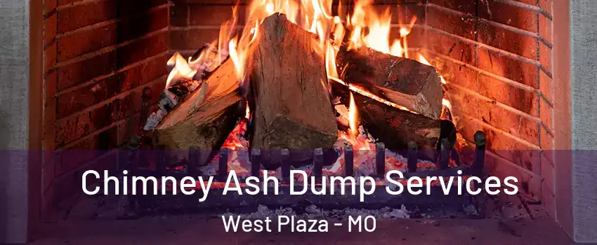 Chimney Ash Dump Services West Plaza - MO