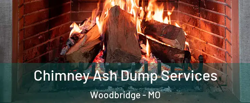 Chimney Ash Dump Services Woodbridge - MO