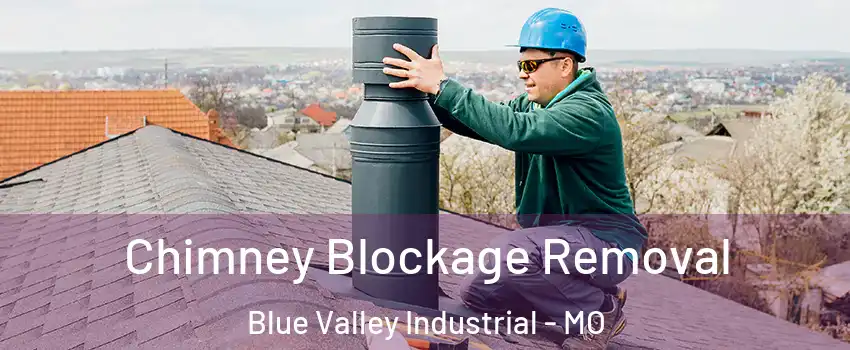 Chimney Blockage Removal Blue Valley Industrial - MO