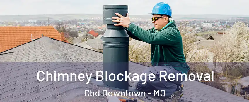 Chimney Blockage Removal Cbd Downtown - MO