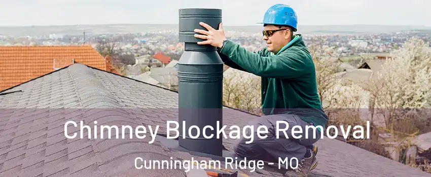 Chimney Blockage Removal Cunningham Ridge - MO