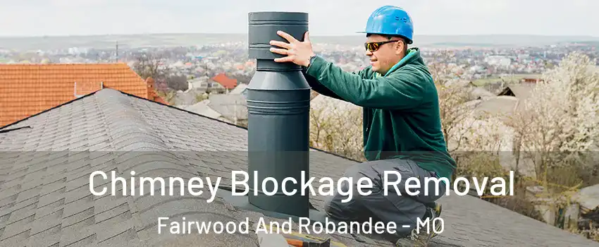 Chimney Blockage Removal Fairwood And Robandee - MO