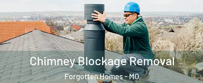 Chimney Blockage Removal Forgotten Homes - MO