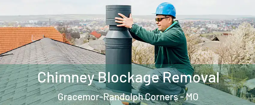Chimney Blockage Removal Gracemor-Randolph Corners - MO