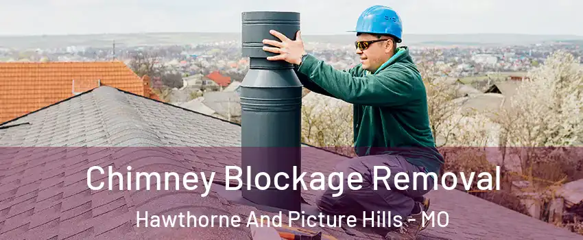 Chimney Blockage Removal Hawthorne And Picture Hills - MO