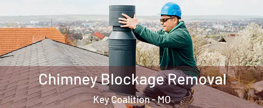 Chimney Blockage Removal Key Coalition - MO