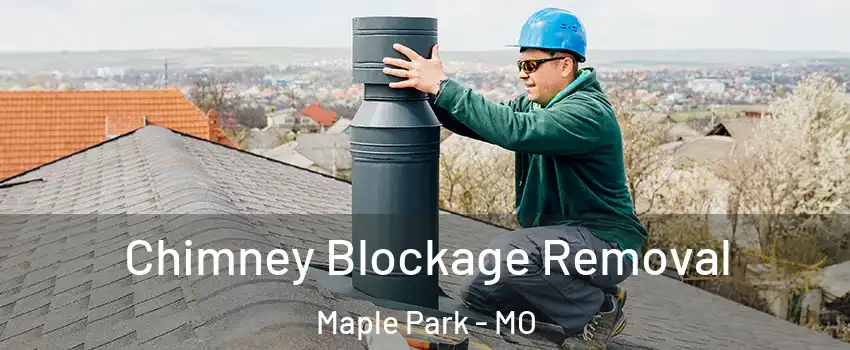Chimney Blockage Removal Maple Park - MO