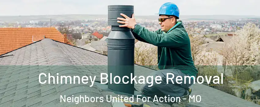 Chimney Blockage Removal Neighbors United For Action - MO
