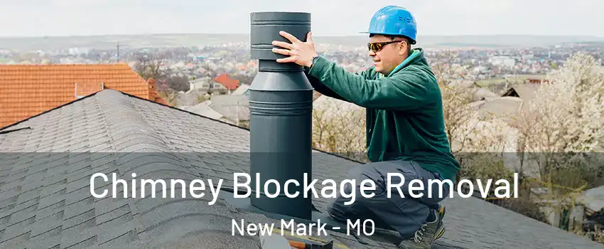Chimney Blockage Removal New Mark - MO