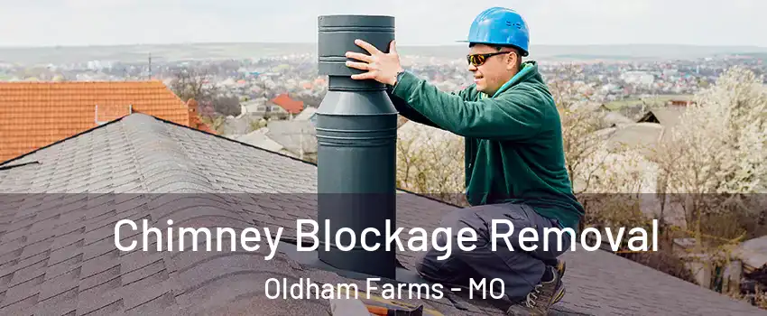 Chimney Blockage Removal Oldham Farms - MO