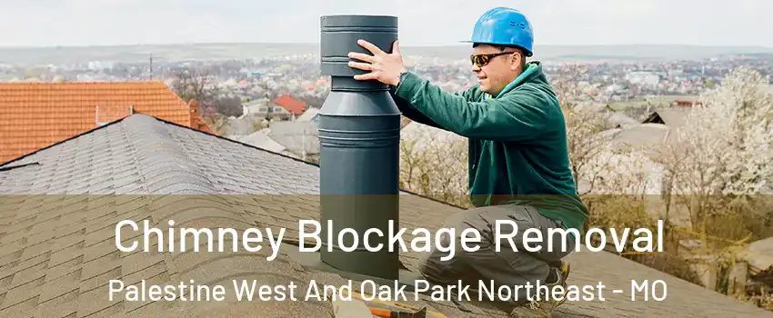 Chimney Blockage Removal Palestine West And Oak Park Northeast - MO