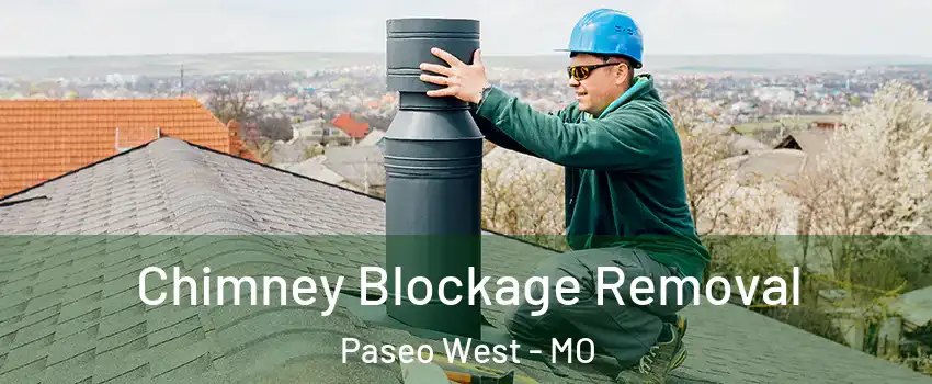 Chimney Blockage Removal Paseo West - MO