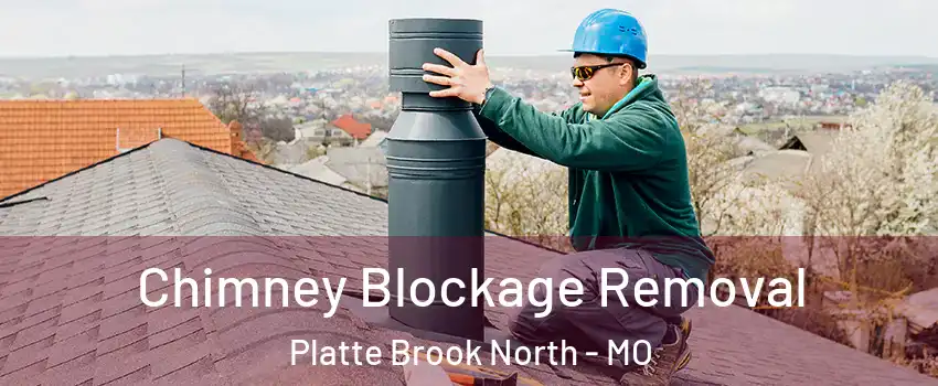 Chimney Blockage Removal Platte Brook North - MO