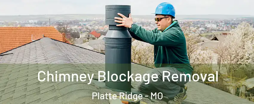 Chimney Blockage Removal Platte Ridge - MO