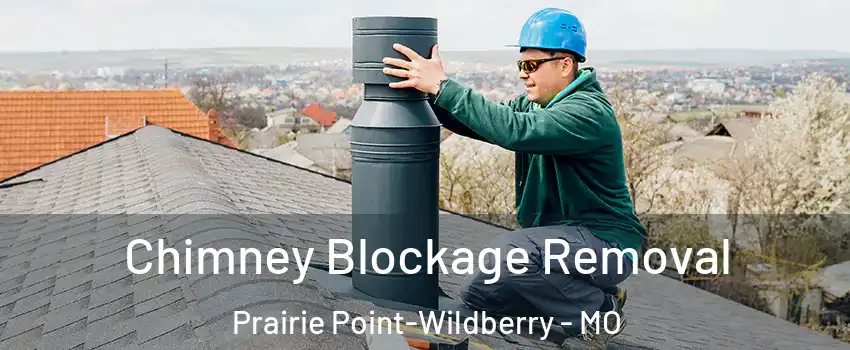Chimney Blockage Removal Prairie Point-Wildberry - MO